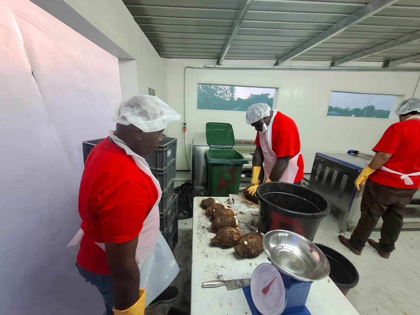 Packhouse workers in Santo